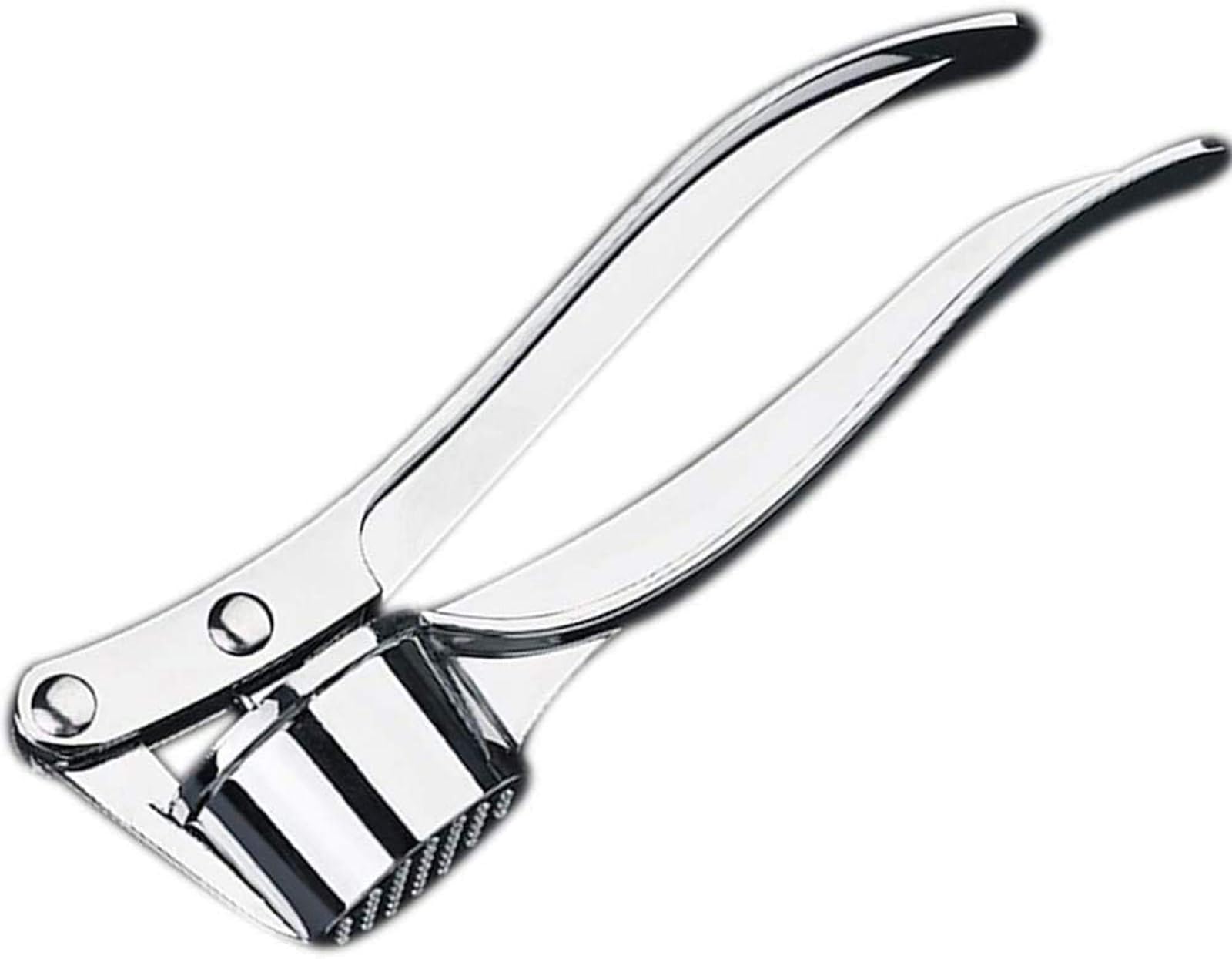 Stainless steel garlic and ginger grinder crusher